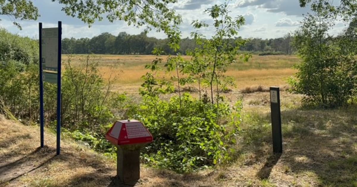 Twente ‘meets’ de Achterhoek op dit rondje van bijna 50 kilometer