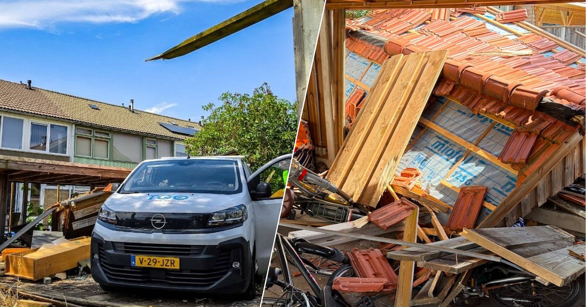 Chauffeur wordt onwel en rijdt met bestelbus achtertuin in: enorme ravage bij woning in Hengelo