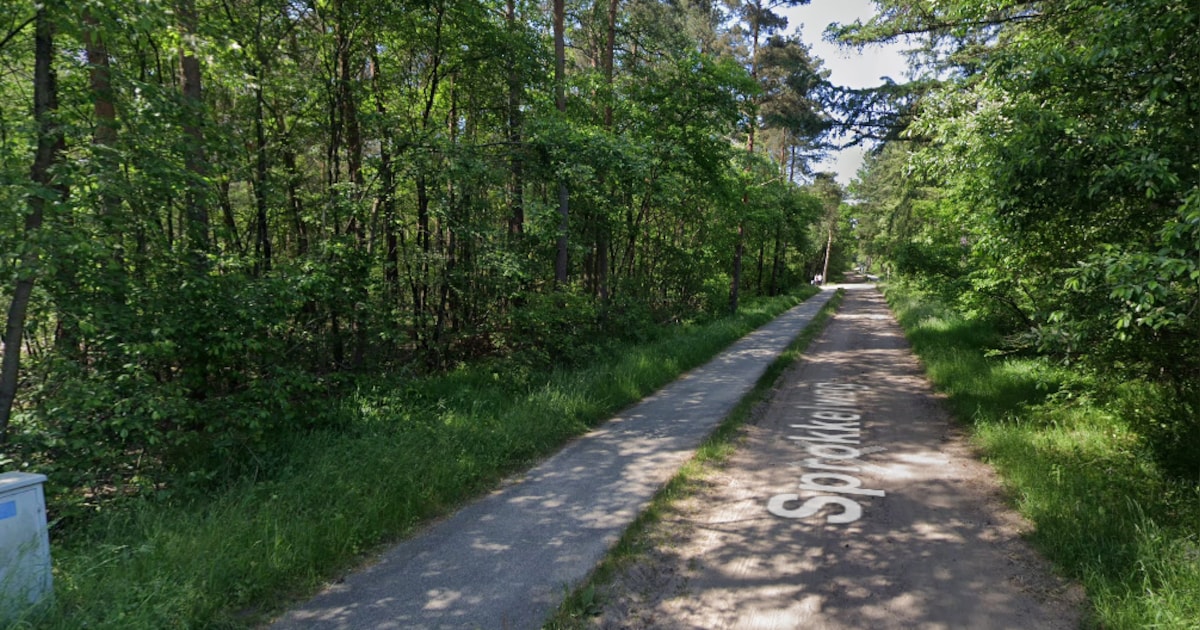 Vrouw (31) slachtoffer van zedenincident in Holten, politie zoekt mannelijke verdachte van ongeveer 