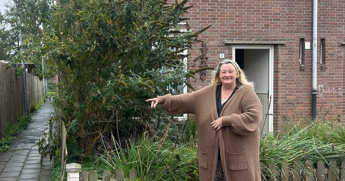 Hoe in een oude Almelose volkswijk de angst toeslaat: ‘Het is hier nu een spookbuurt’