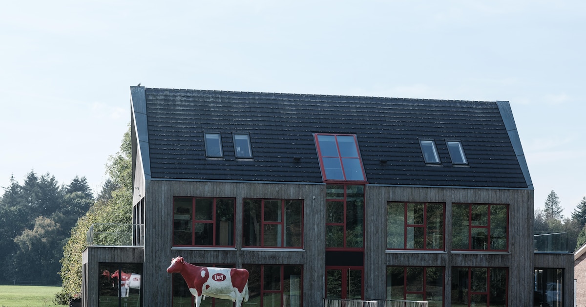 Omstreden verhuizing van groeiend Lely Center mag doorgaan: ‘Ga met ...