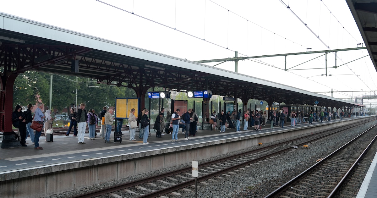 Storing in groot deel van Nederland: geen treinverkeer rond Zwolle