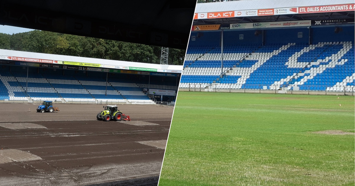 Veld De Graafschap kleurt groen