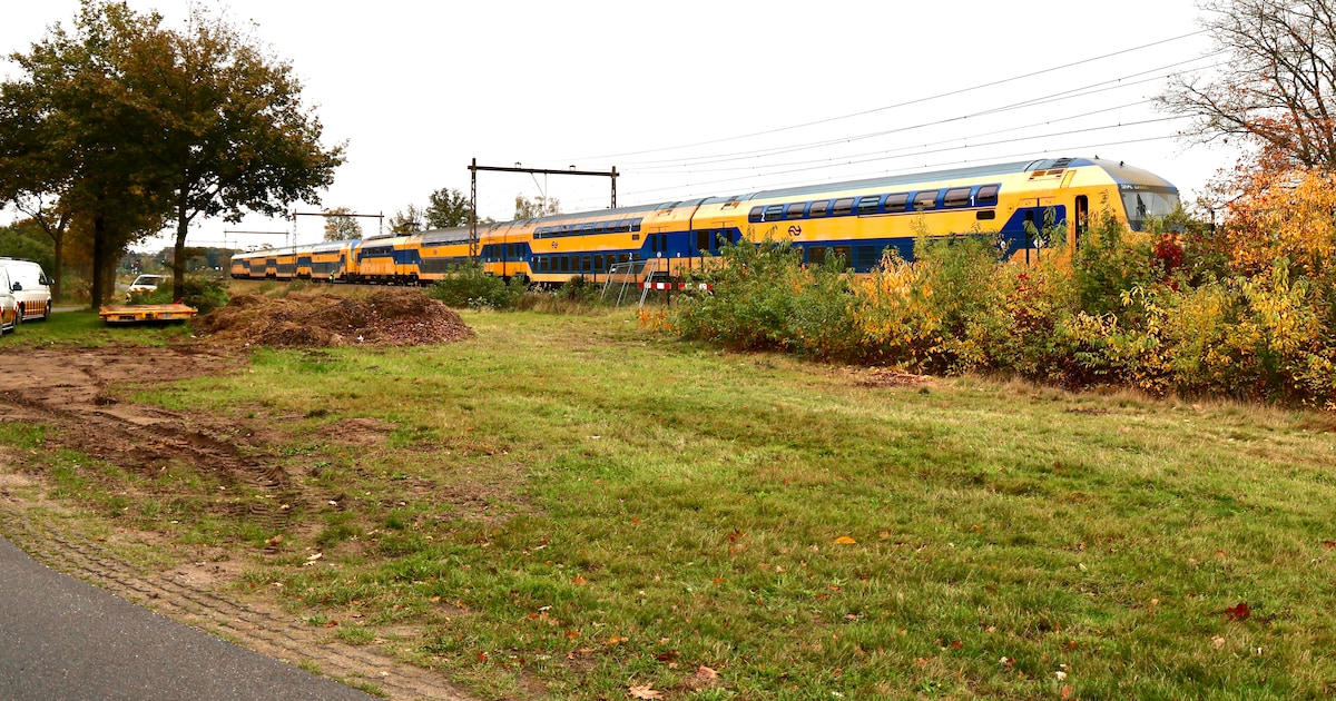 Geen treinen tussen Almelo en Hengelo na aanrijding, politie en ProRail ter plaatse.