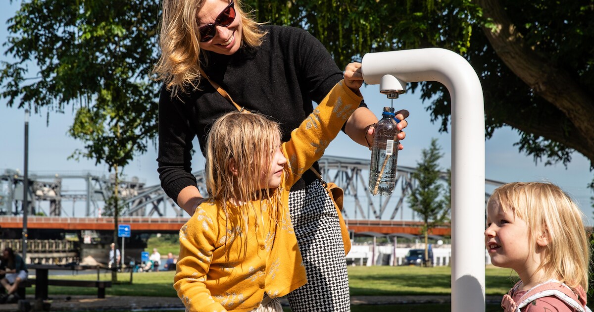 Spetteren, dorst lessen en superschaduw: Zutphen strijdt tegen de hitte | Foto