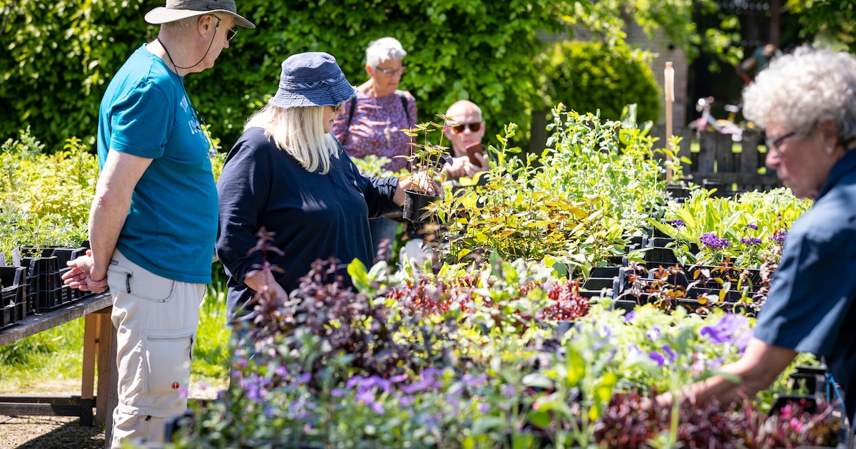 Groene inspiratie opdoen? Plantjesmarkt en open dag bij de moestuin van Twickel