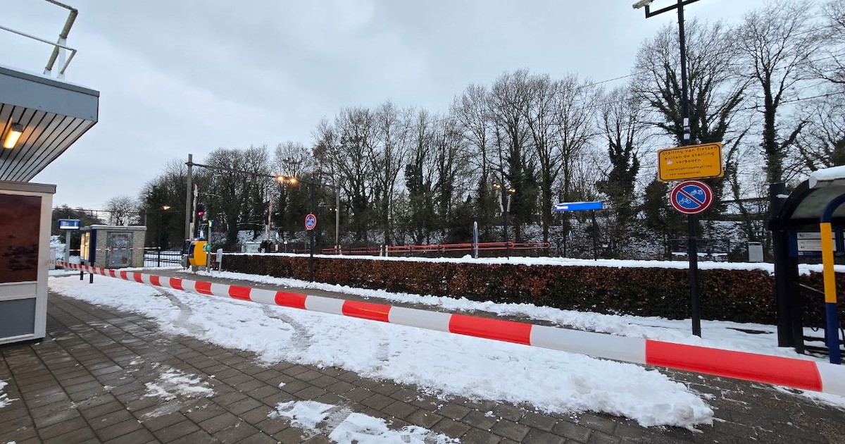 Treinverkeer tussen Almelo en Hengelo komt weer op gang na aanrijding bij Borne