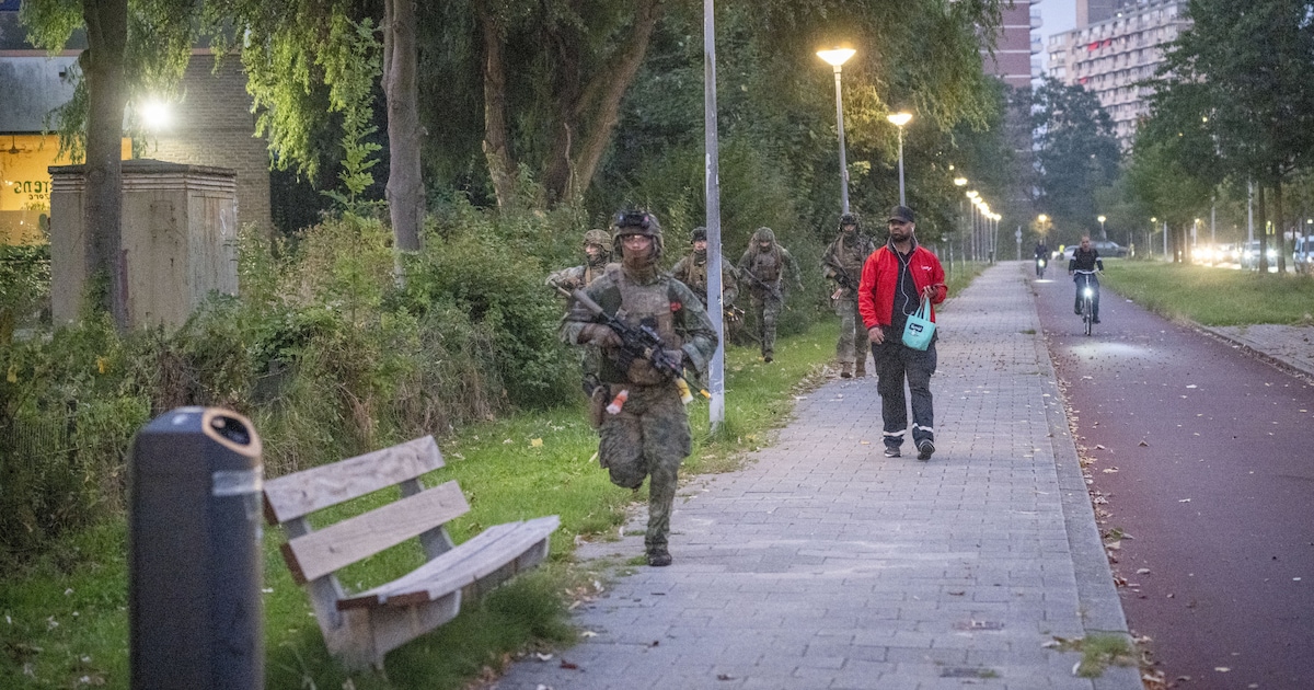 Militairen oefenen in vol ornaat overdag en ‘s nachts in Dinkelland