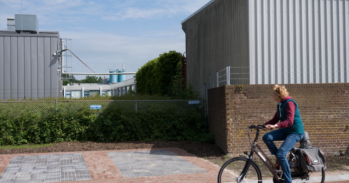 Heerde wil het liefst woningen en bedrijven combineren op terrein van verffabriek