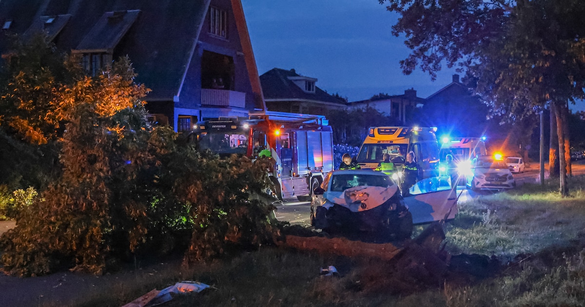 Bestuurder gewond door botsing tegen boom op IJsselkade in Deventer