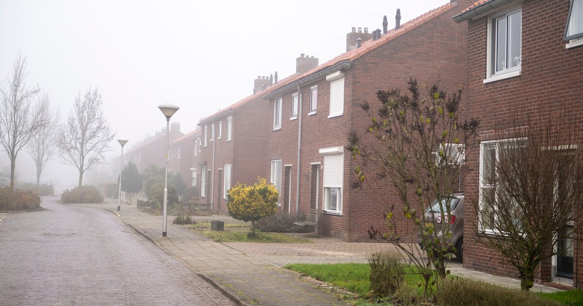 Turfondernemers bouwden niets op in Westerhaar: ‘Ze lieten het gebied berooid en ontredderd achter’ 