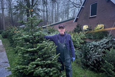 Kerstboomexpert Gerard deelt zijn vijf beste tips: 'Zo blijft je boom het langst mooi'
