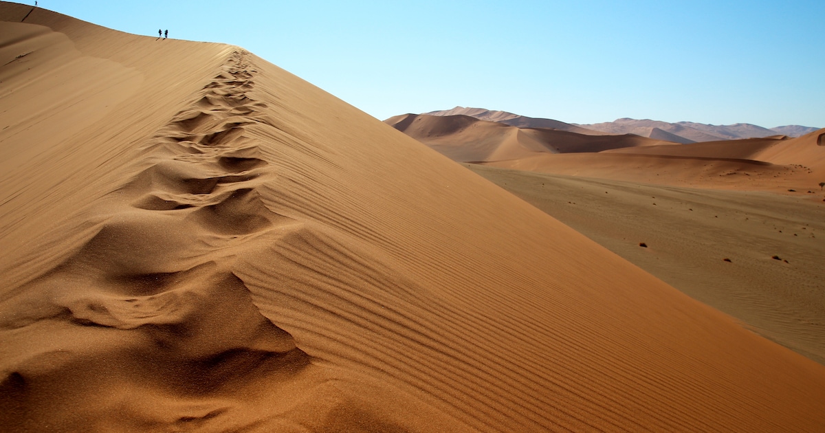 Afschuw om overlijden Lisette na ongeluk in Namibië: ‘Beste bedrijfsarts die ik ooit heb ontmoet’.