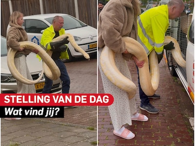 Stelling | Exotische dieren als een tijgerpython horen niet thuis in een woning
