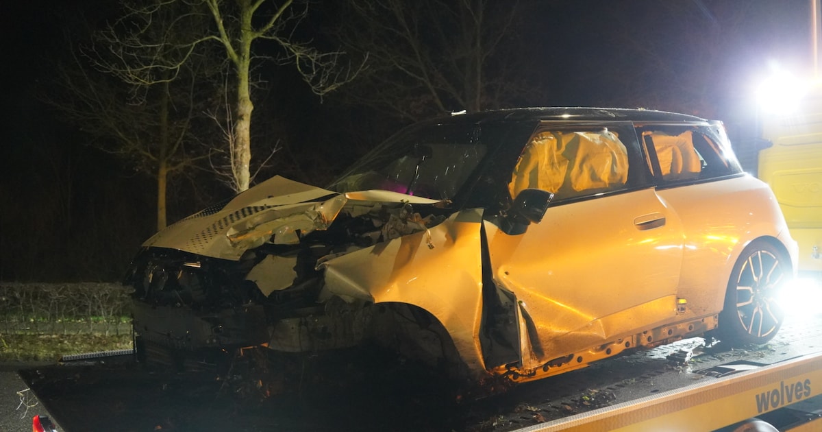 Auto vliegt uit bocht en rijdt tegen boom in Zwolle: inzittenden naar ziekenhuis