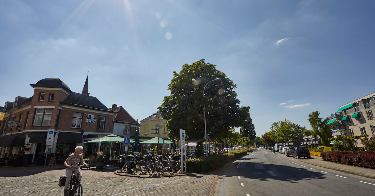 Lochem wil 2 miljoen euro uittrekken voor vergroening Julianaweg en ...