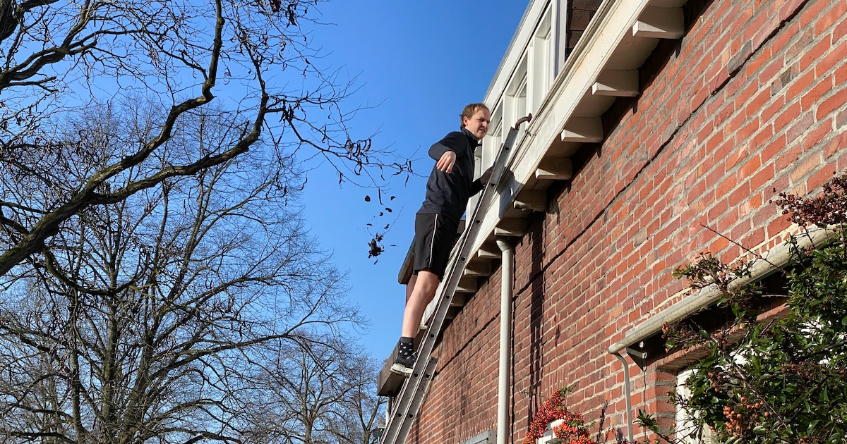 WOZ-waarde in Tubbergen iets hoger dan in vergelijkbare gemeenten