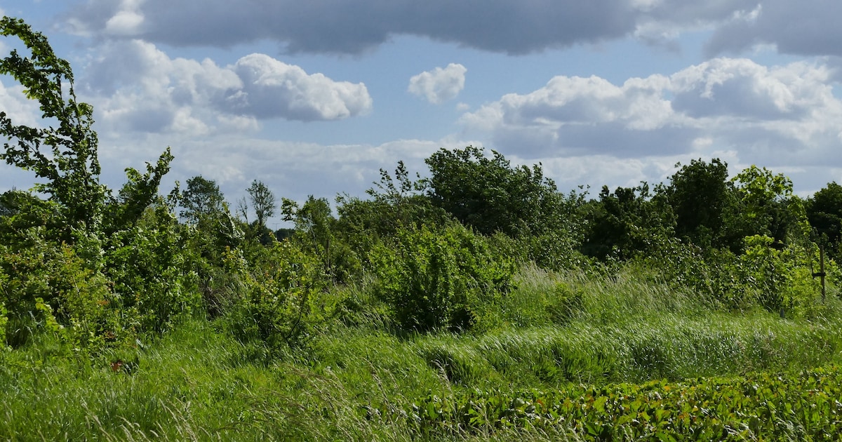 Excursie naar Bioboerderij Klein Broekhuizen vanuit Doetinchem