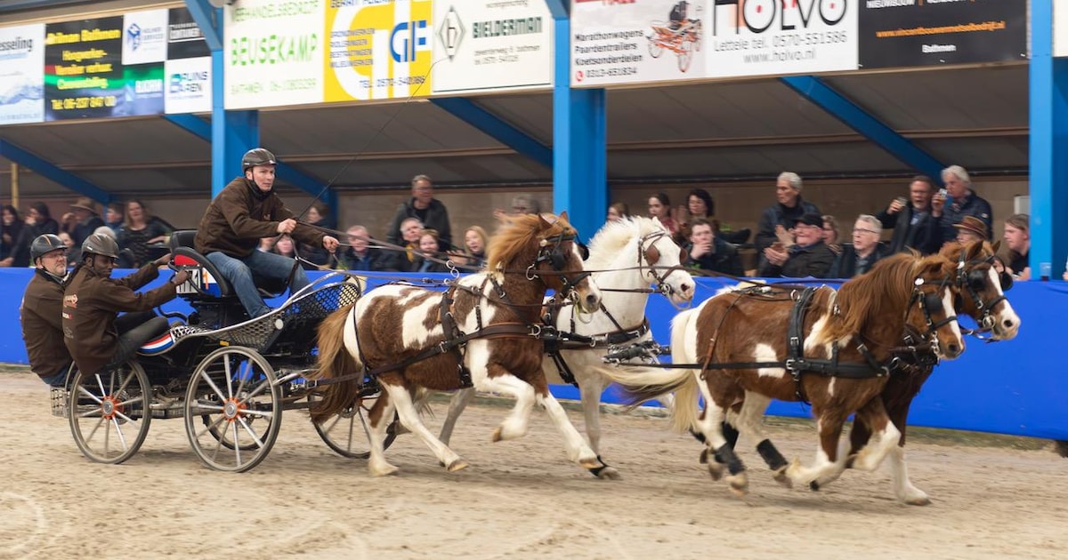 Bathmen te Paard betekent ruim een week hippische topsport in manege ’t Ruiterkamp