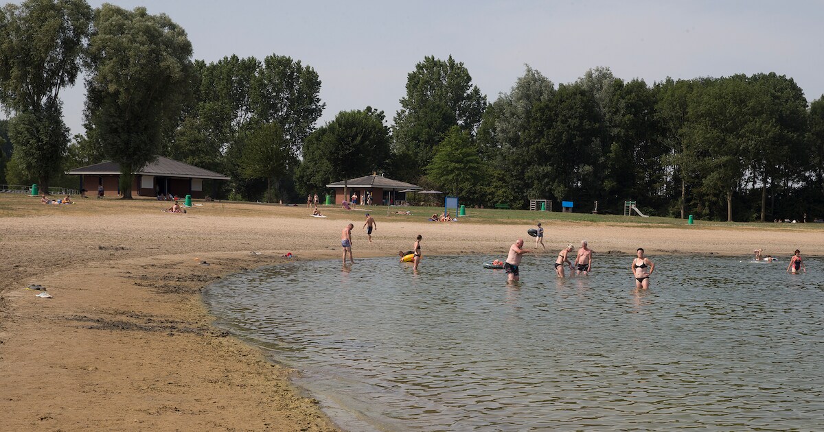 Blauwalg in Slingeplas Bredevoort, provincie waarschuwt zwemmers | Aalten