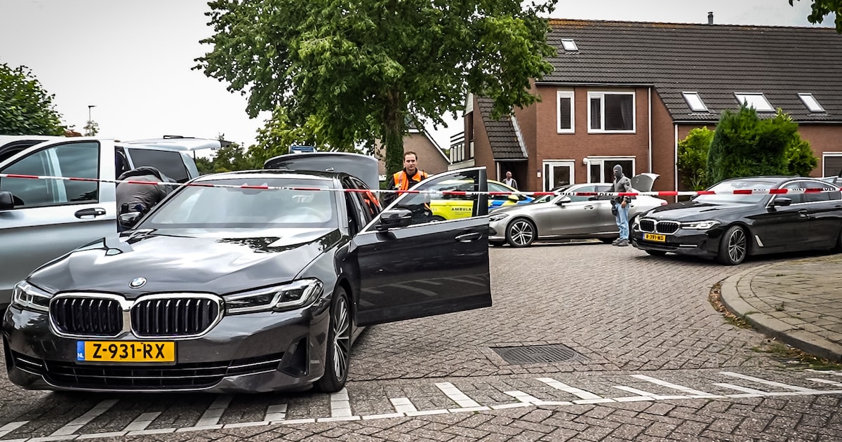 Arrestatieteam rukt uit na mishandeling in Didam: verdachte meldt zich later zelf