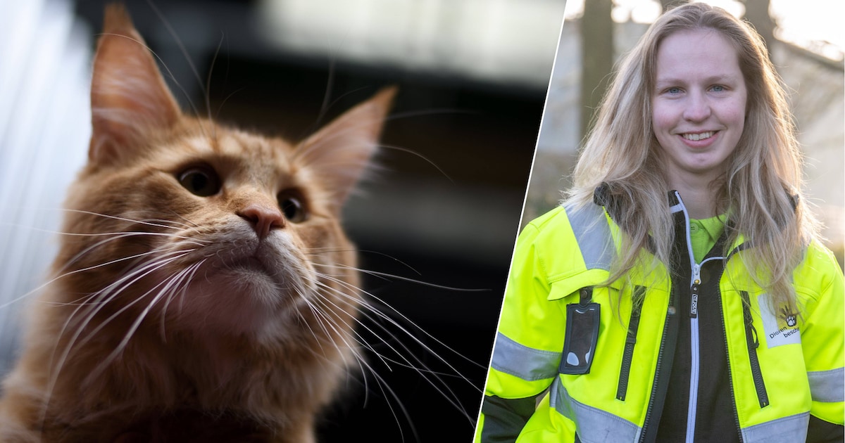 Als Aletta een overleden kat ophaalt in Rijssen, staat ze oog in oog met een huilend meisje (10)