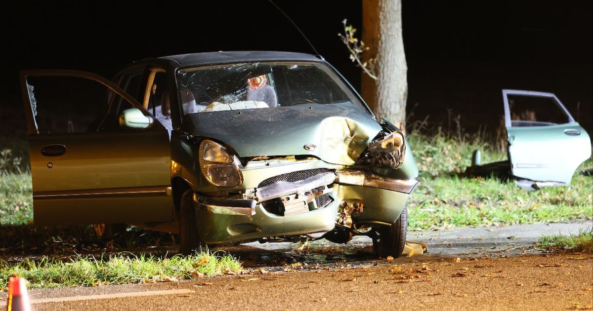 Auto botst frontaal op boom in Enschede: brandweer bevrijdt bestuurder