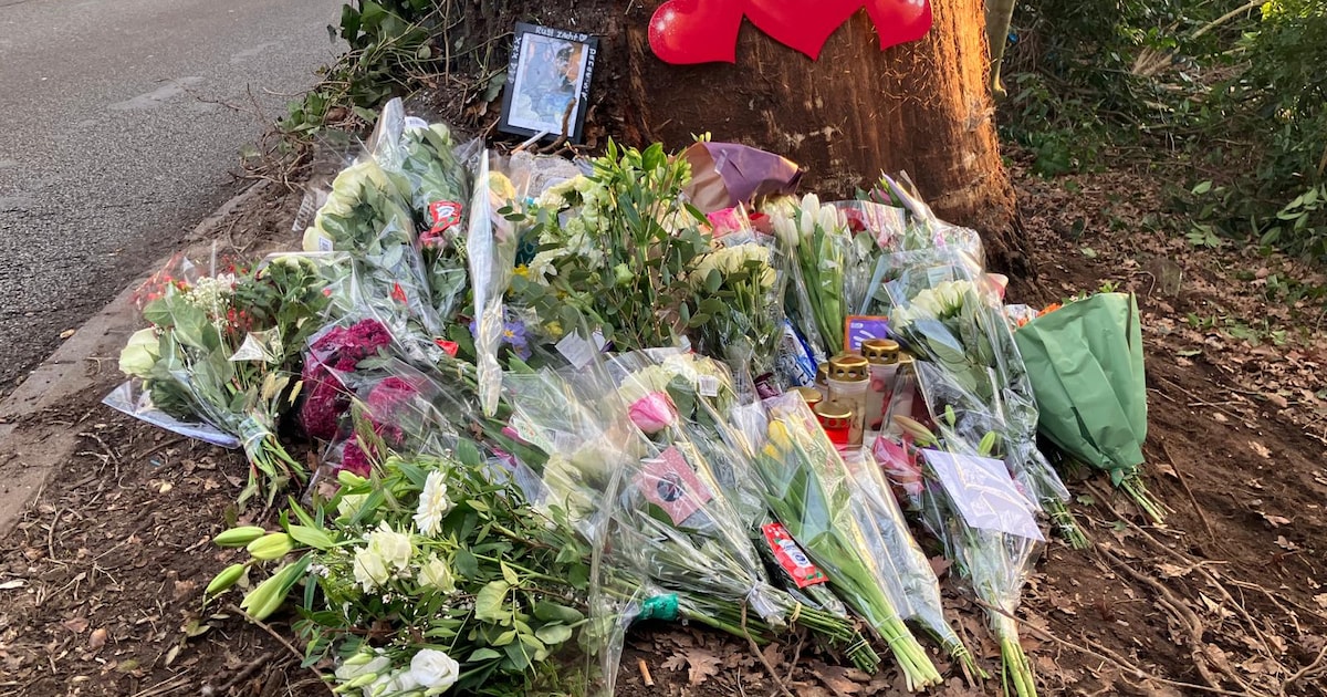 Eefde opent gedenkplek na dodelijk ongeluk minderjarige jongens