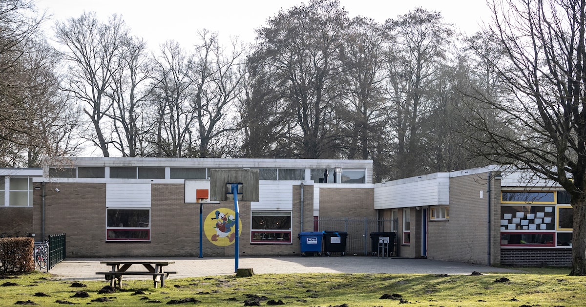 Actiegroep tegen bouwplan voor school in de Hasseler Es: ‘Plan is 180 graden gedraaid’