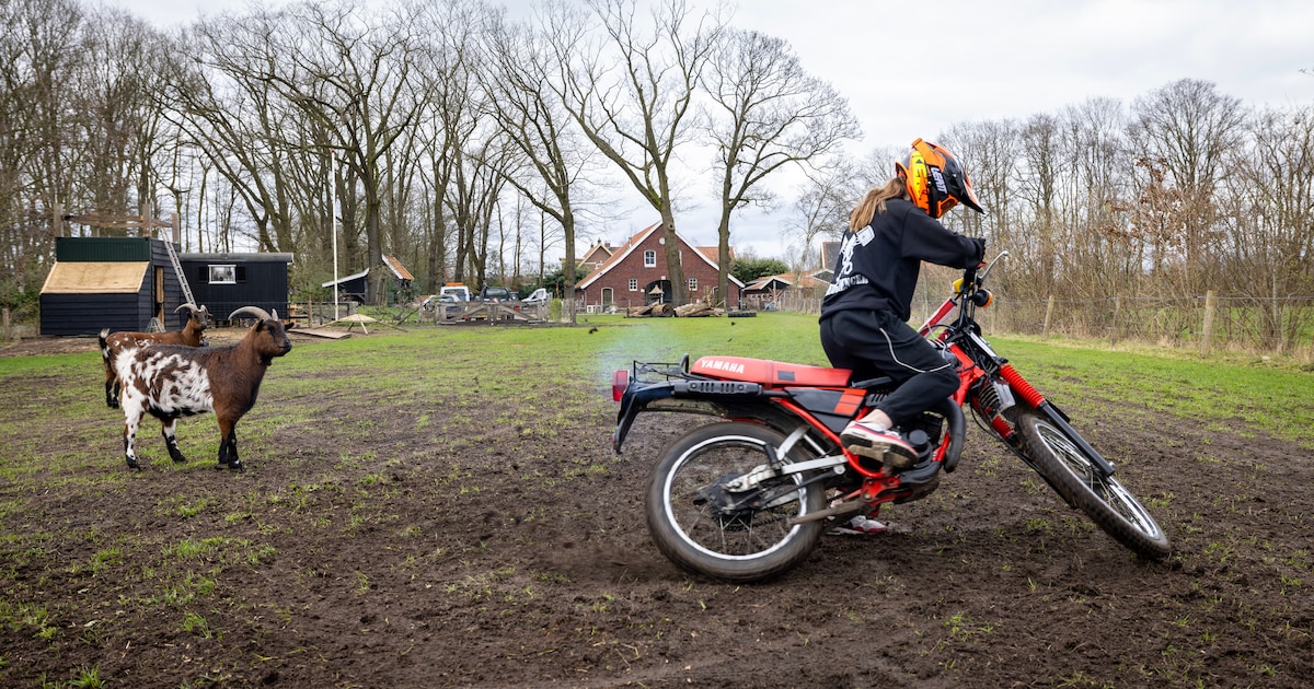 Gas d’r op en vooruit met de geit: Romy (12) crosst door het buitengebied van Beckum