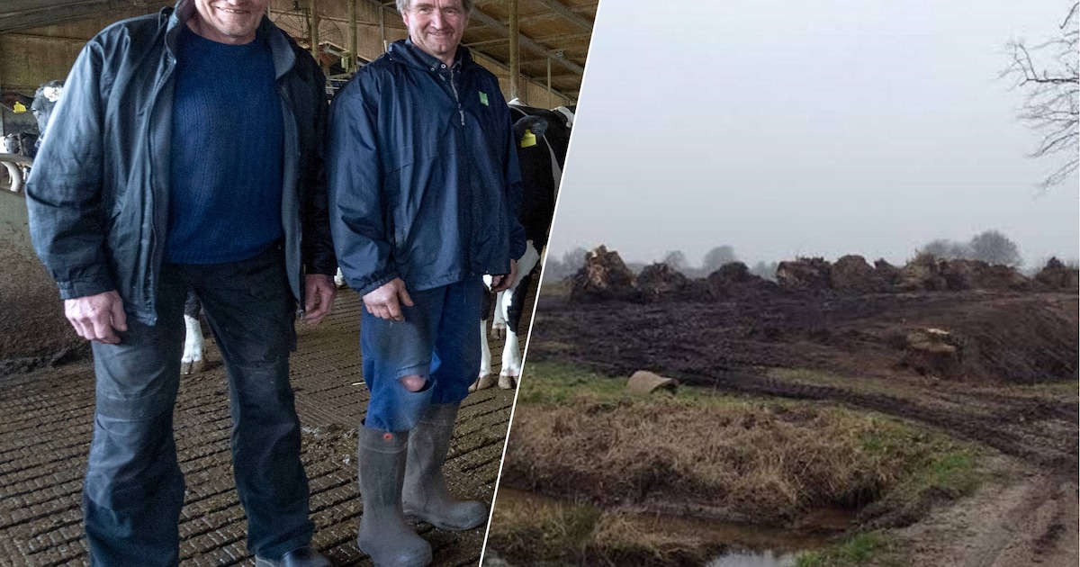 Broers Te Bogt eisen 304.000 euro omdat Berkelland vasthoudt aan onuitvoerbare herplant bomen