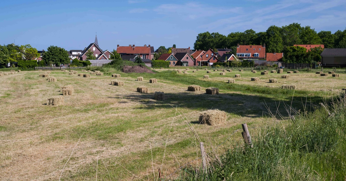 Zeldzaam grafveld ontdekt in Enter: ‘Slechts enkele van in Nederland’