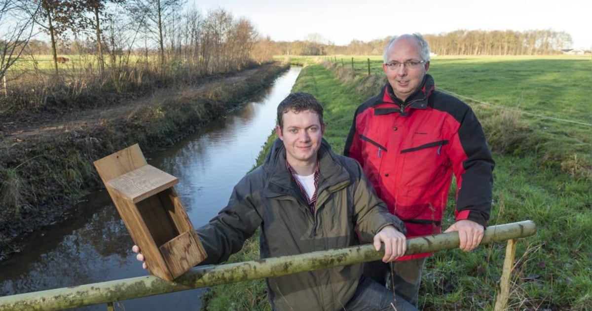 Lokkertje voor broedvogels en kikkers in de Bolscherbeek