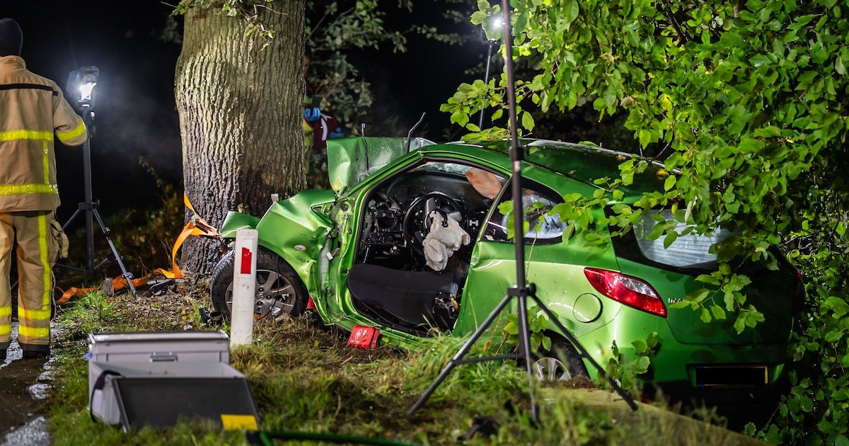 Vrouw (32) overleden bij ongeluk bij Ruurlo, slachtoffer zat achterin auto die tegen boom botste
