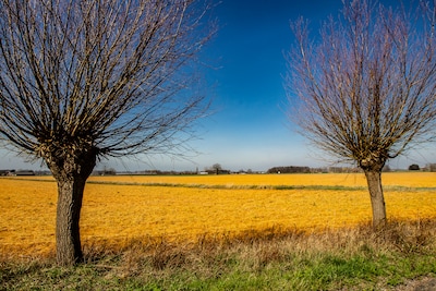 Provincie zet kwaad bloed met pesticideplan: boeren boos, huisarts vindt het nog lang niet ver genoe