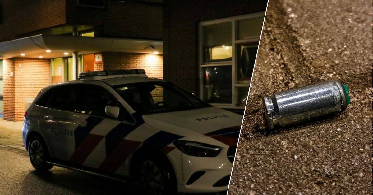 Schoten gelost vanuit rijdende auto in Enschedese woonwijk