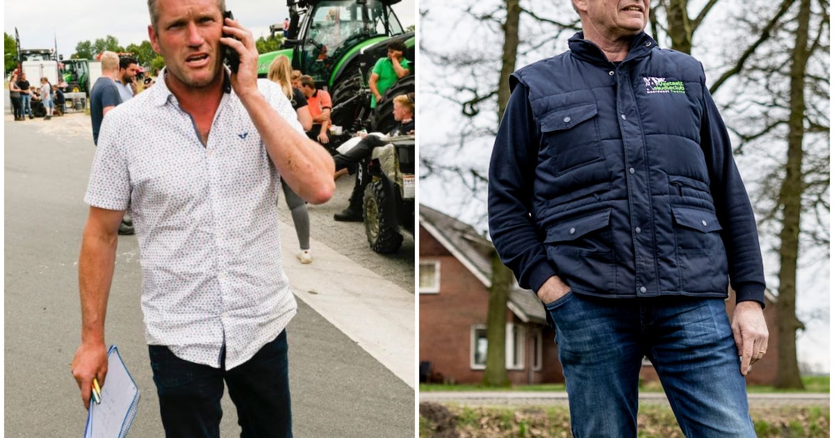 Twentse boer over nieuwe Wiersma-regeling: ‘Elke boer die stopt, verplaatst het probleem’