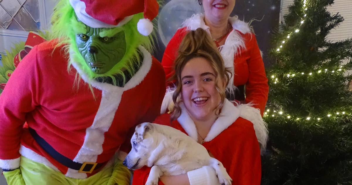Grinch-speurtocht en optredens in Wijhe