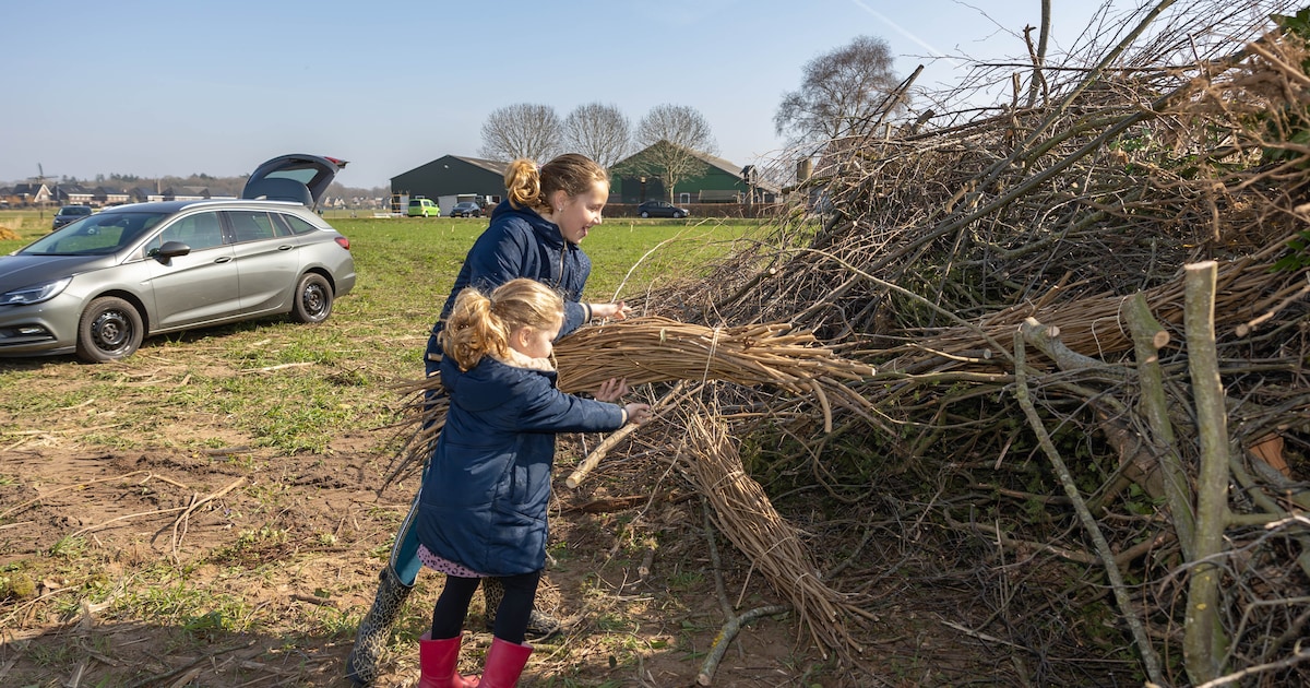 Harbrinkhoek bouwt aan paasbult: inwoners kunnen snoeihout brengen