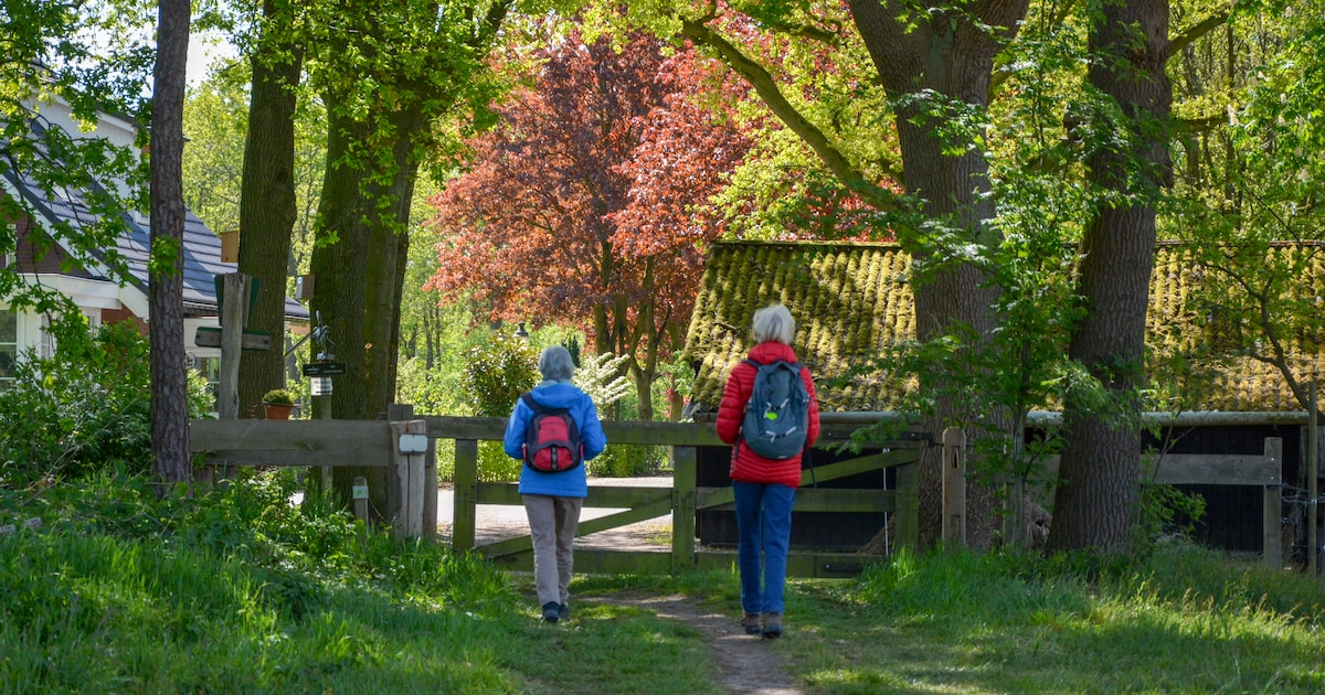 Hekjes, bruggetjes en uitdagende loopplanken tussen Almelo, Bornerbroek en Zenderen