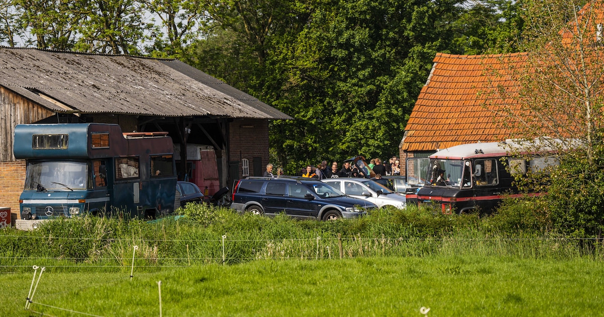 VICASKY Lot De 2 Filets De Protection De La Tête En Maille Filet Pour