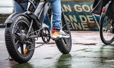 Hond overleden na aanrijding met fatbike