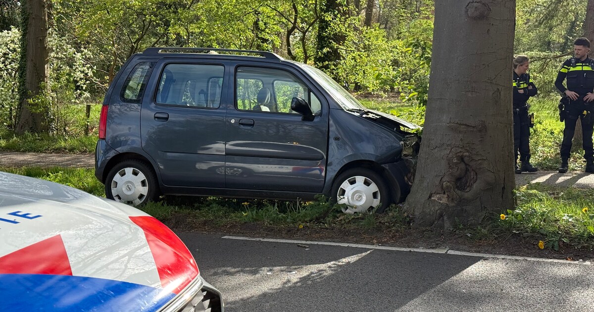 Auto botst tegen boom op de Bathmenseweg in Lettele | Regio | Tubantia.nl