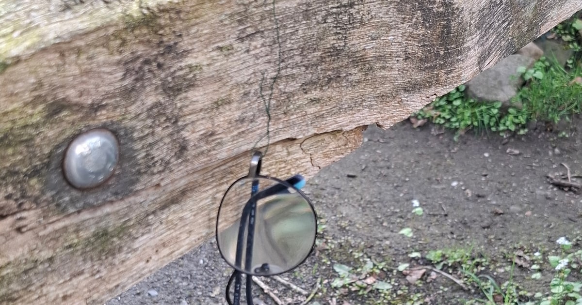 Bril gevonden, moederbord over en gratis tondeuse