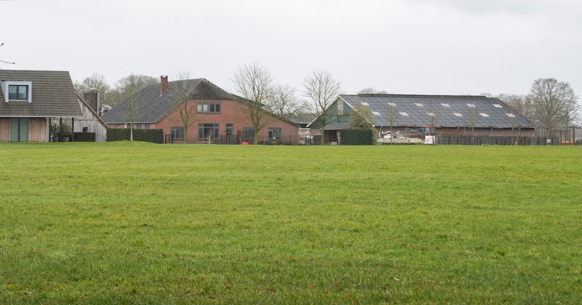 Beltrumse broers moeten dwangsom van 75.000 euro betalen aan Berkelland