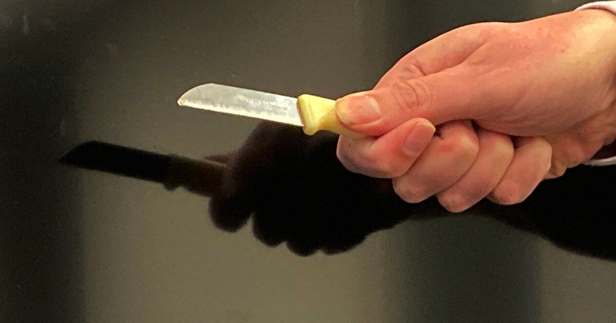 Burenruzie in Enschede loopt uit de hand: ‘Ik heb haar bewust gestoken ...