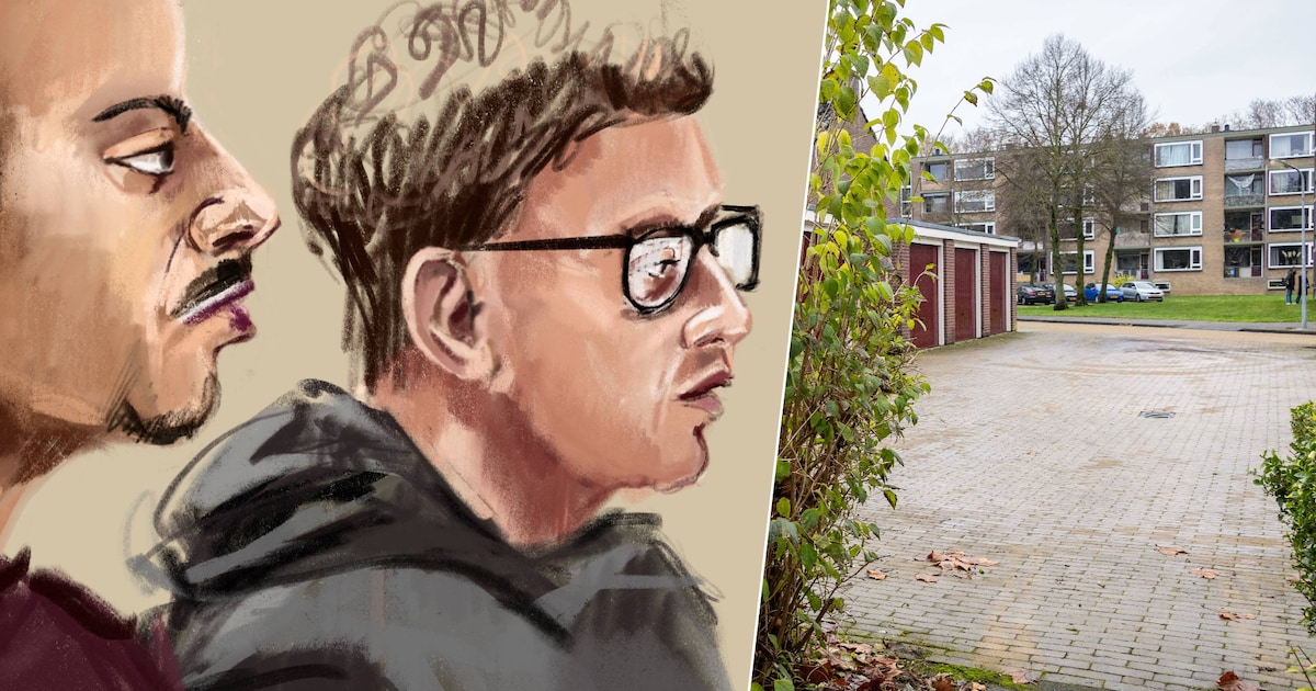 Jonge verdachten van moord op Asham in Meppel worden ook verdacht van wapenvondst in Zwolle