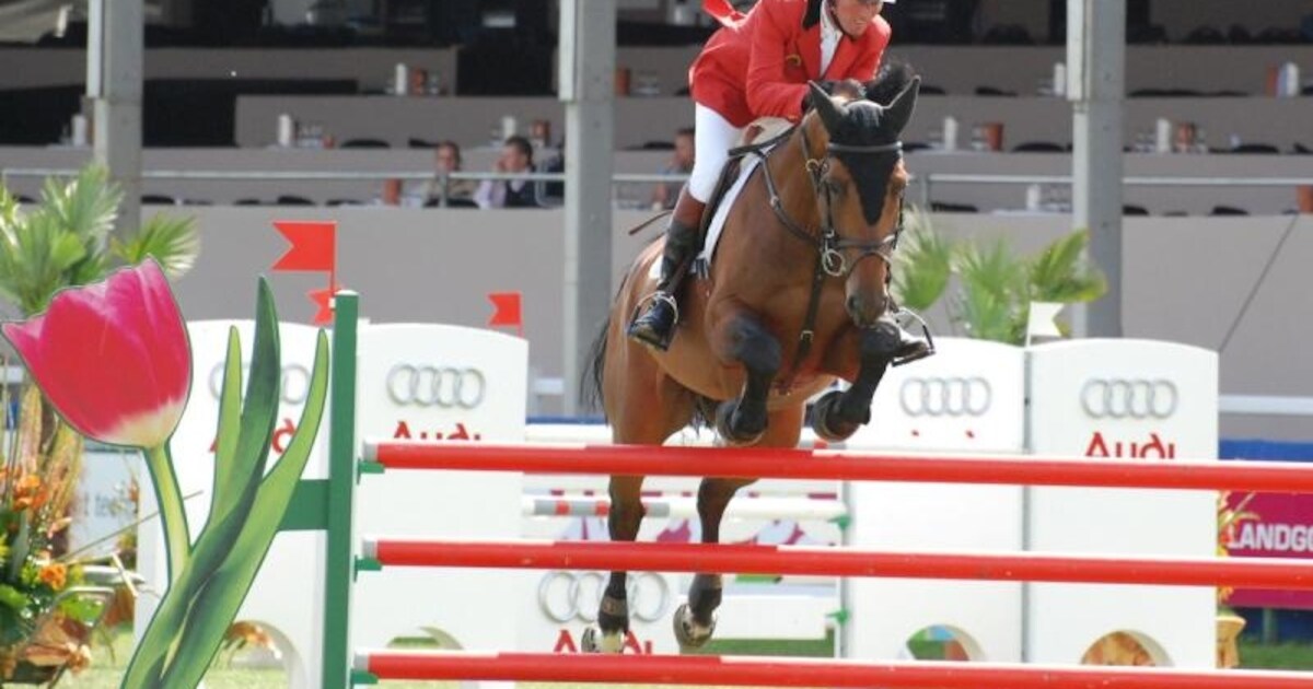 CSI: Slechts vijf Twentse ruiters geplaatst voor GP Twente | Sport ...