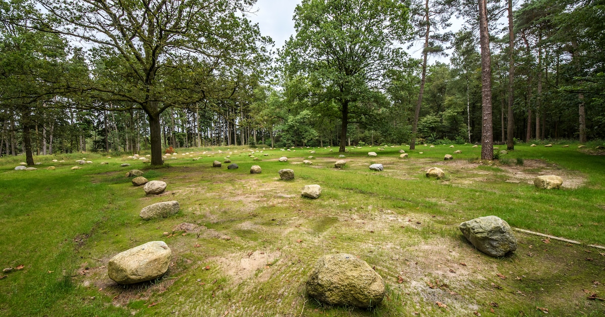 Het Waarveld in Haaksbergen breidt natuurgedeelte uit en houdt rondleidingen