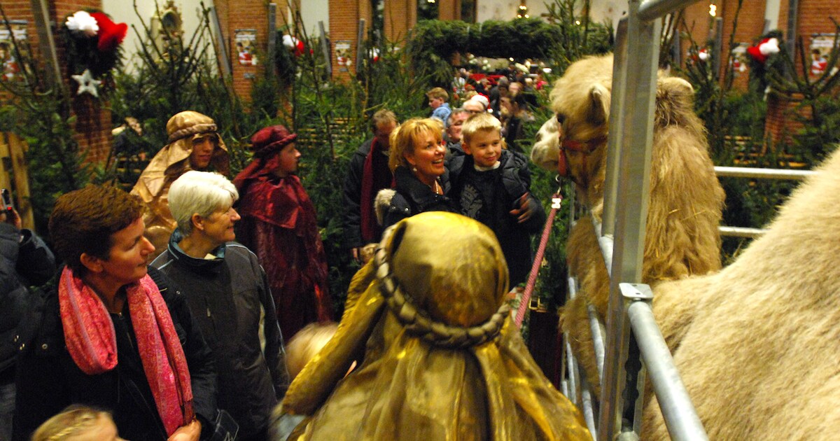 Jongeren haken af; doek valt voor levende kerststal Mariaparochie